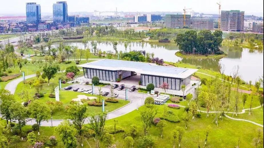 泡桐树小学新校区来了明年建成投用