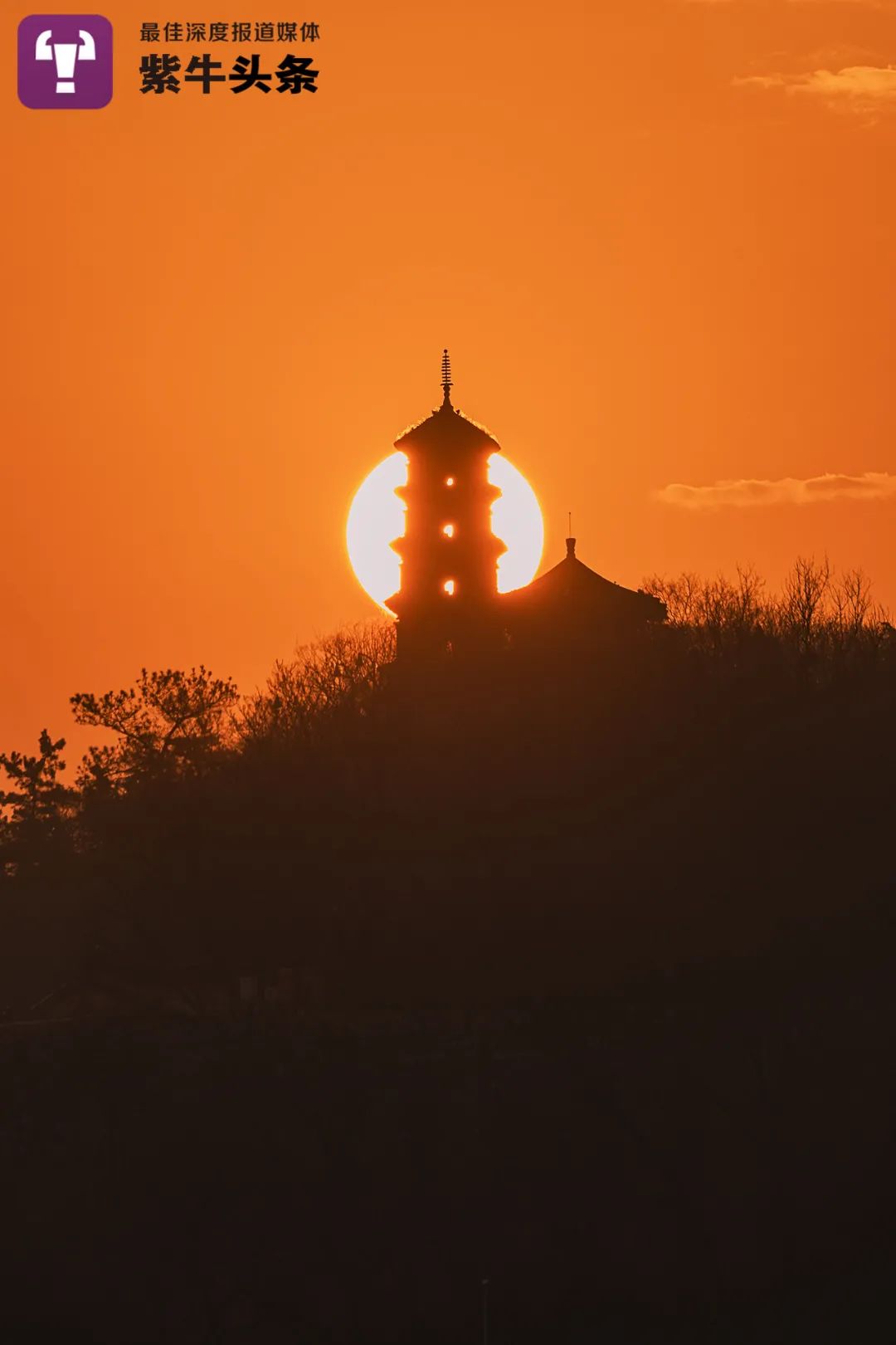 紫牛头条南京地标悬日大片美爆了一年只有一两次拍摄机会