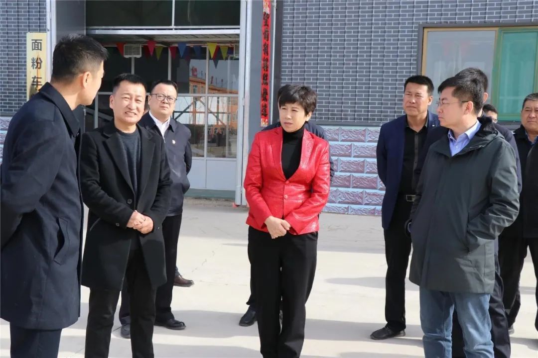 张秀玲到王爱召镇调研