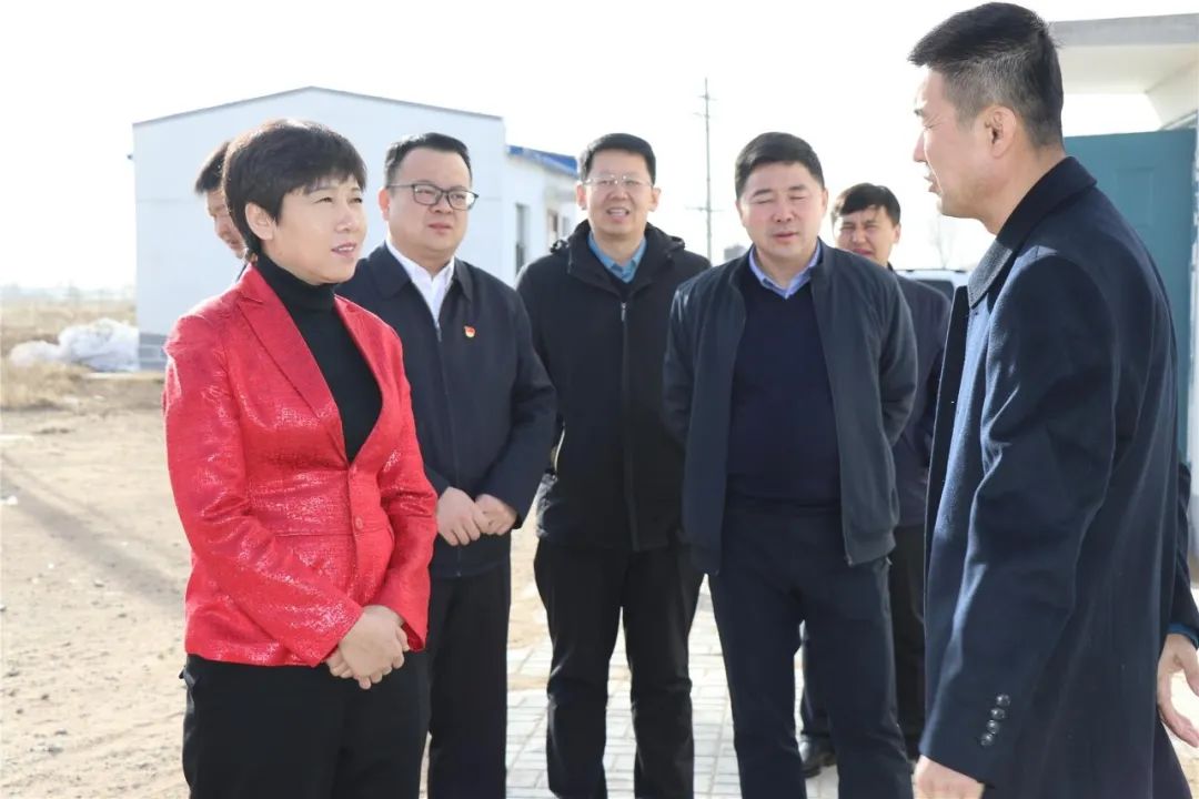 张秀玲到王爱召镇调研