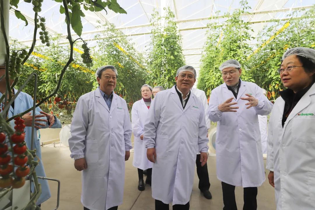 甘肃省检察院检察长朱玉(左三)与杨维俊(左一)、杨海蓉(左二)两位代表调研温室大棚。