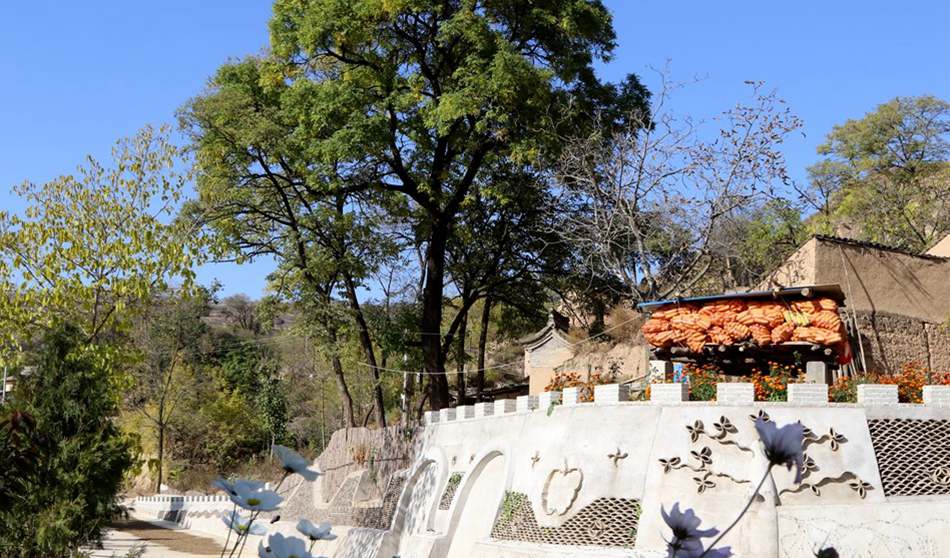 甘肃清水梁山村的脱贫之路