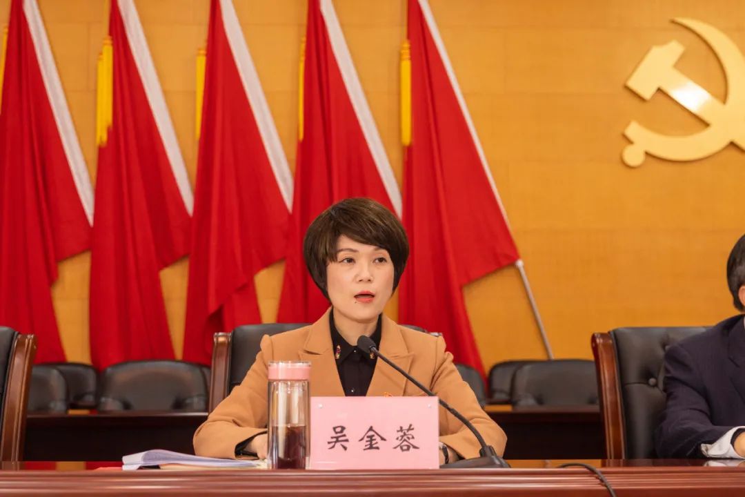 区委常委,纪委书记,监委主任吴金蓉代表区第八届纪