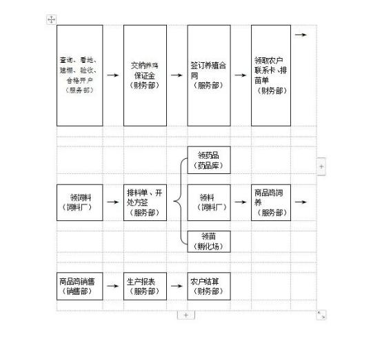 致富养鸡好段_致富经养鸡_致富养鸡视频