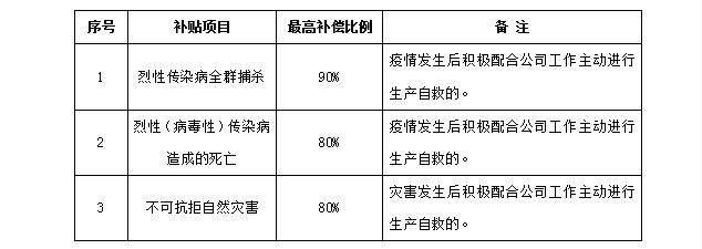 致富养鸡好段_致富养鸡视频_致富经养鸡