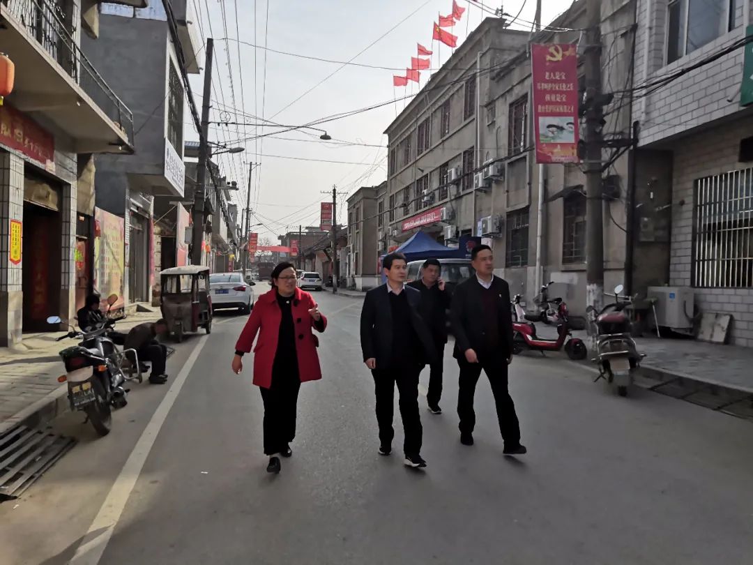 卧龙区领导到石桥镇调研指导工作
