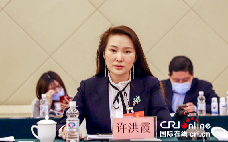 黑龙江省人大代表许洪霞打造网红经济产业集群拓展数字化转型新思路