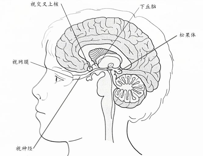 孩子睡不着睡不好怎么办这里有4个小窍门