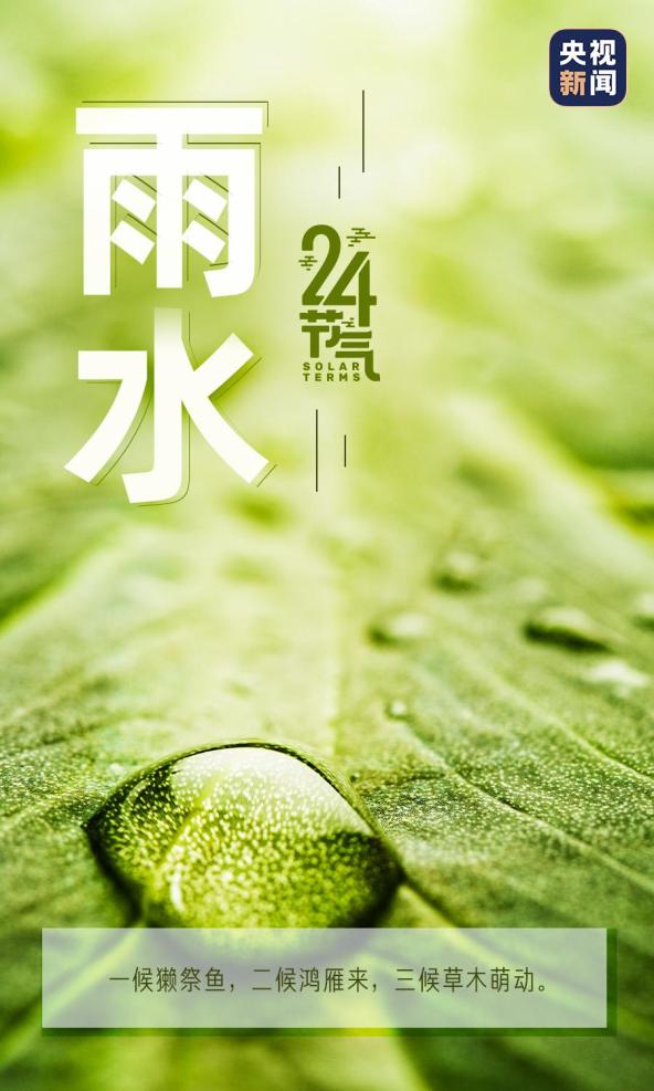 今日雨水丨好雨知时节