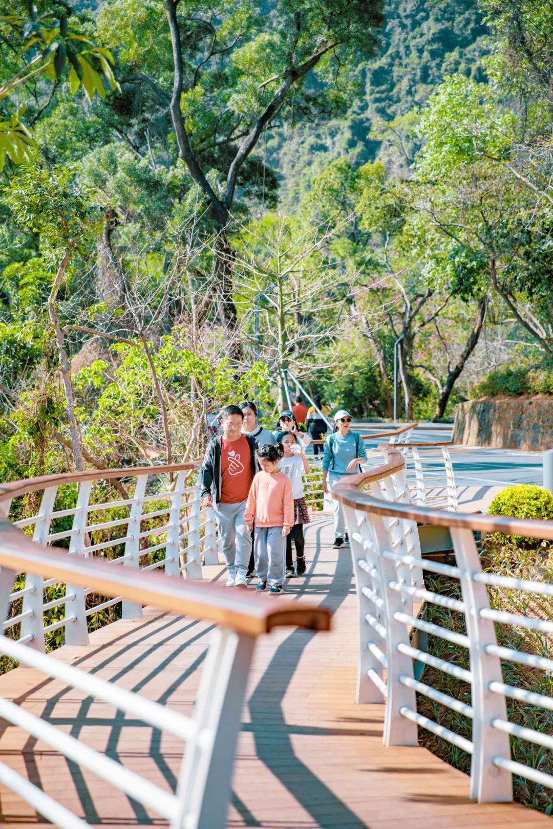 半山花海公园图片