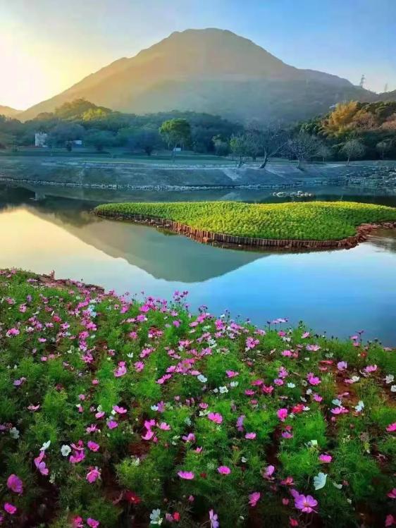 浪漫花海澄澈水境半山公园带惊艳绽放