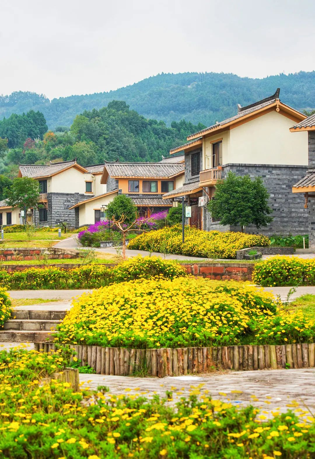 农村的房子怎么修成都出台新办法