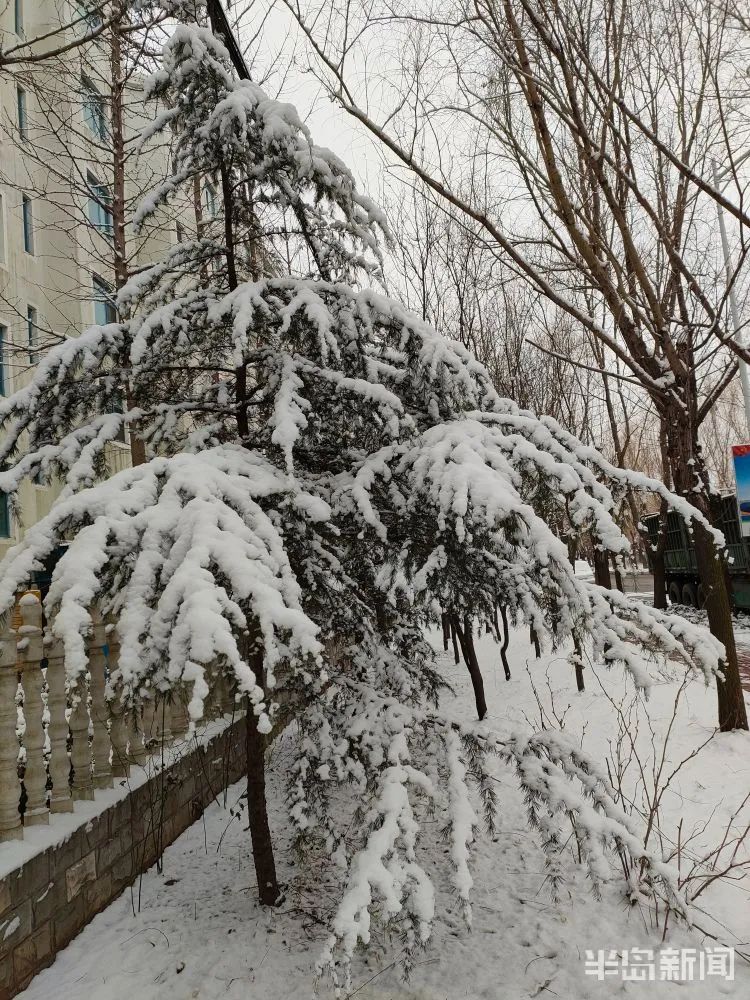 下雪了大雪紛飛的那種關鍵還有第二場剛換下短袖才幾天你是一點春天的