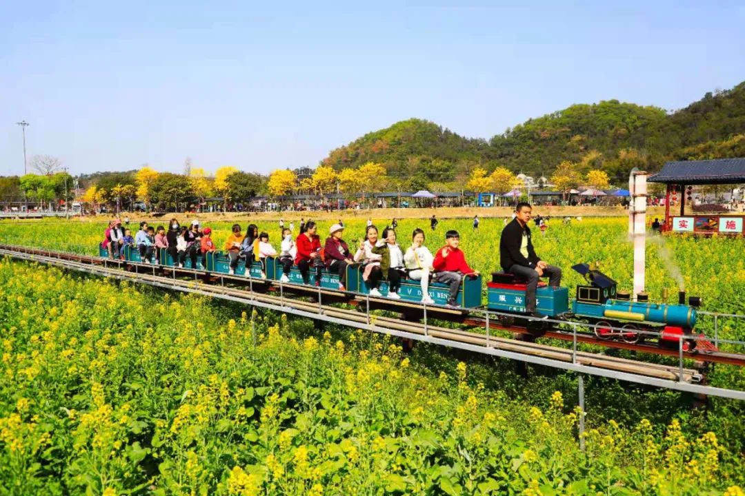 庄园也有5亩油菜花田开得正盛市民除了赏花拍照还可以在这里采摘新