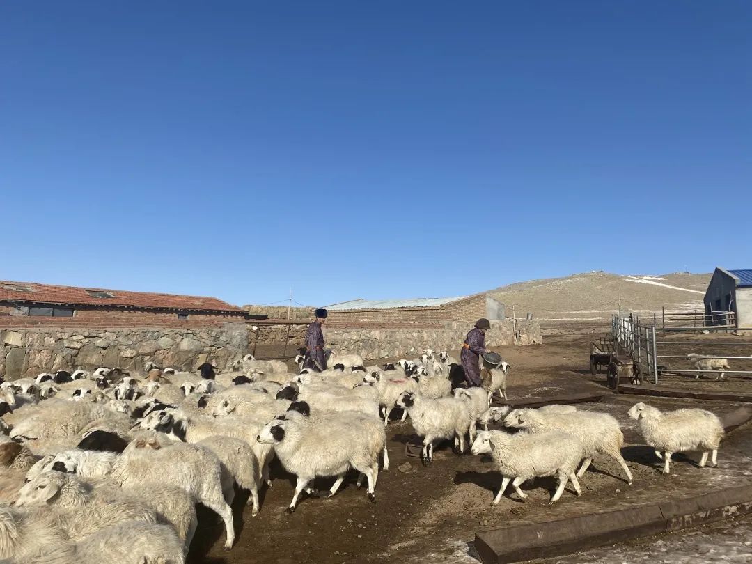 制品农历春节刚过2021-02-25 17:29内蒙古草原铁路官方澎湃号草原铁路