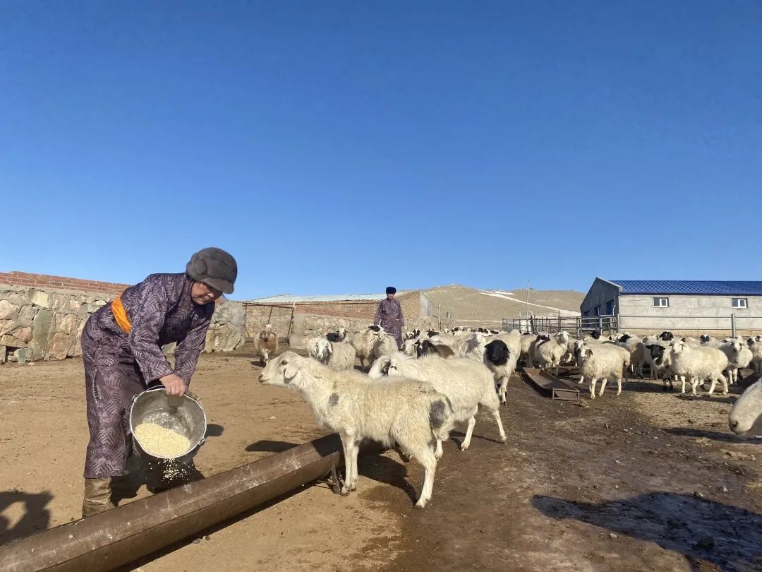 朱日和镇党总支书记李继成是集宁车务段朱日和区段额尔敦朝鲁的铁路"
