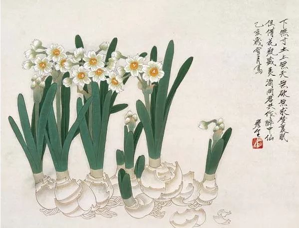 水仙| 比肩"岁寒三友"的新春清供