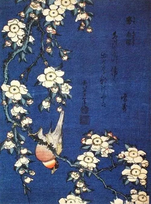 葛饰北斋《红腹灰雀和哭泣的樱花》5斯特拉文斯基的春天芭蕾舞剧
