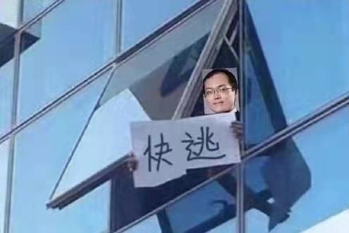 满仓表情包图片