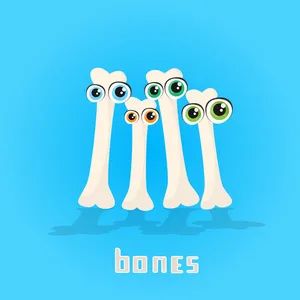 骨密度bmd是什么您的骨骼还健康吗？谨防“骨脆脆”偷袭！_https://www.jmylbn.com_新闻资讯_第1张