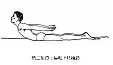 骨密度bmd是什么您的骨骼还健康吗？谨防“骨脆脆”偷袭！_https://www.jmylbn.com_新闻资讯_第3张