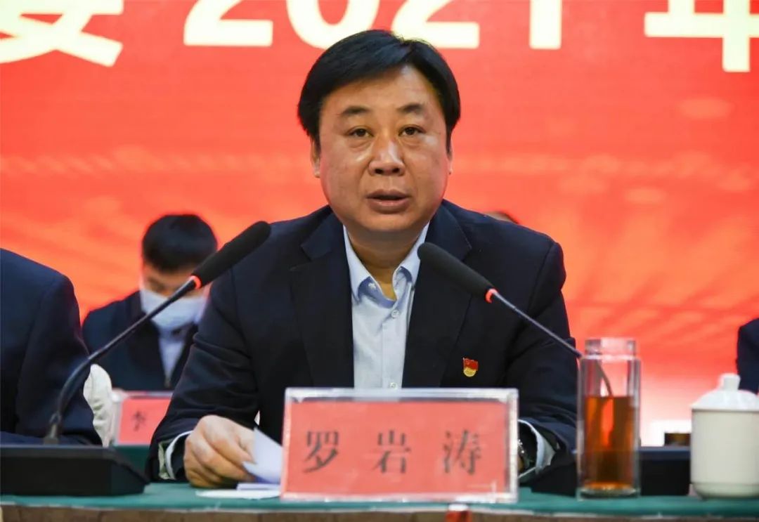 成员,区党工委书记罗岩涛讲话,区党工委副书记,管委会主任杨新亚主持