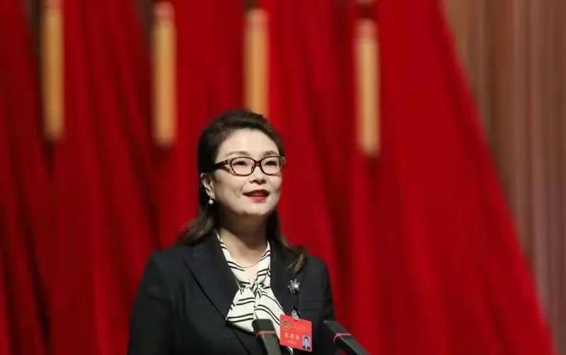 在政协联组讨论会上,王登承,陈月芳,杨振莉,占国红等委员进行主题发言