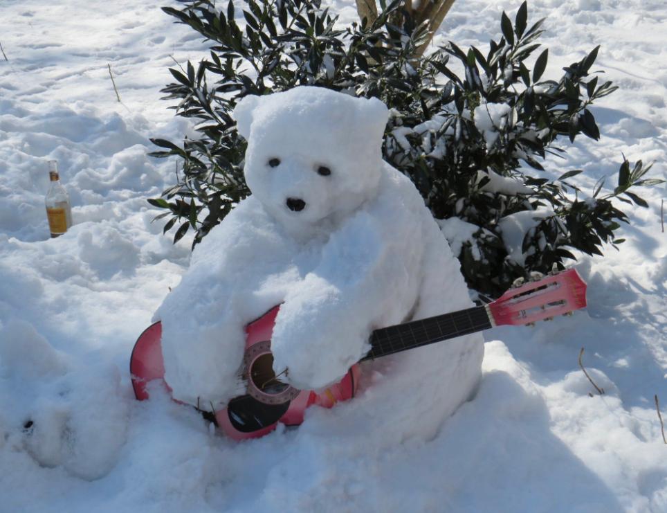 纽约有个可怕的艺术家在中央公园堆了一群可爱的雪熊