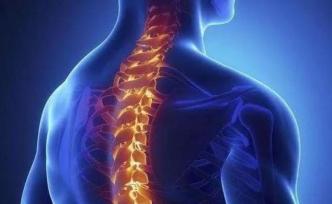 脊髓损伤不可逆，研究提出治疗可能性？