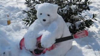 纽约有个可怕的艺术家，在中央公园堆了一群可爱的雪熊