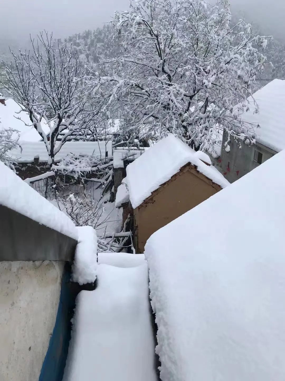 雪雪雪潍坊这些地方下雪了接下来