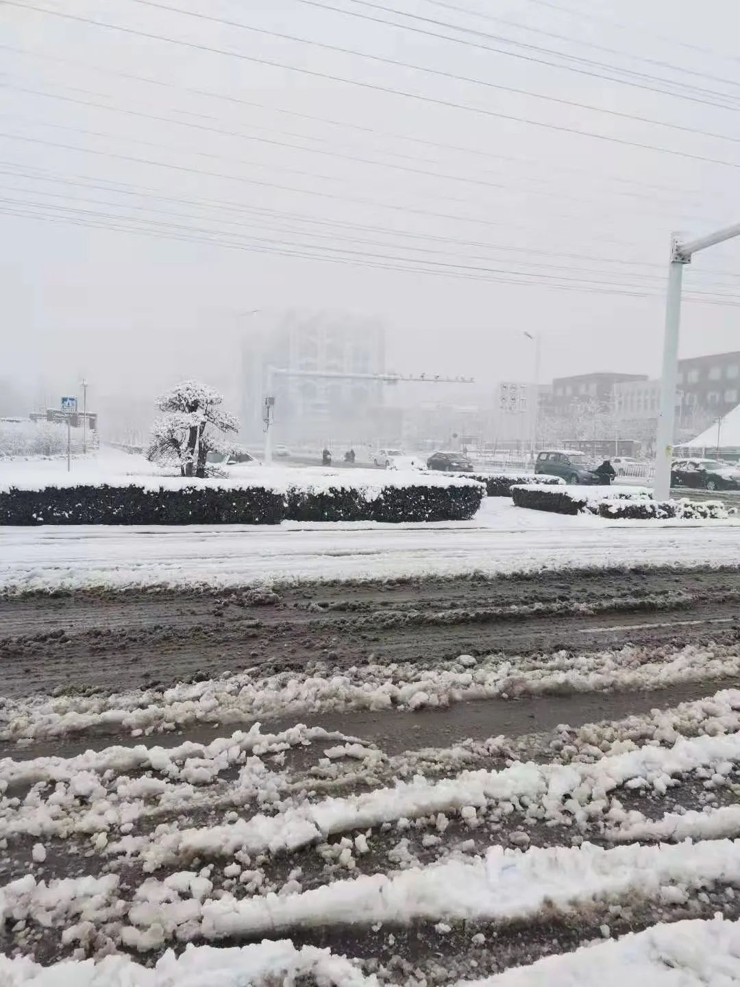 雪雪雪潍坊这些地方下雪了接下来