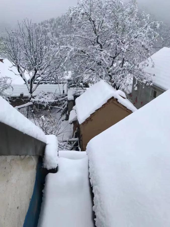 濰坊這些地方下雪了!壽光接下來