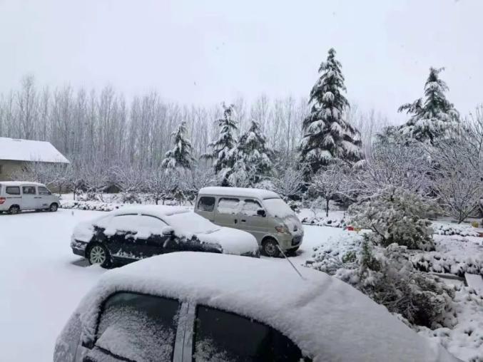 潍坊这些地方下雪了!寿光接下来