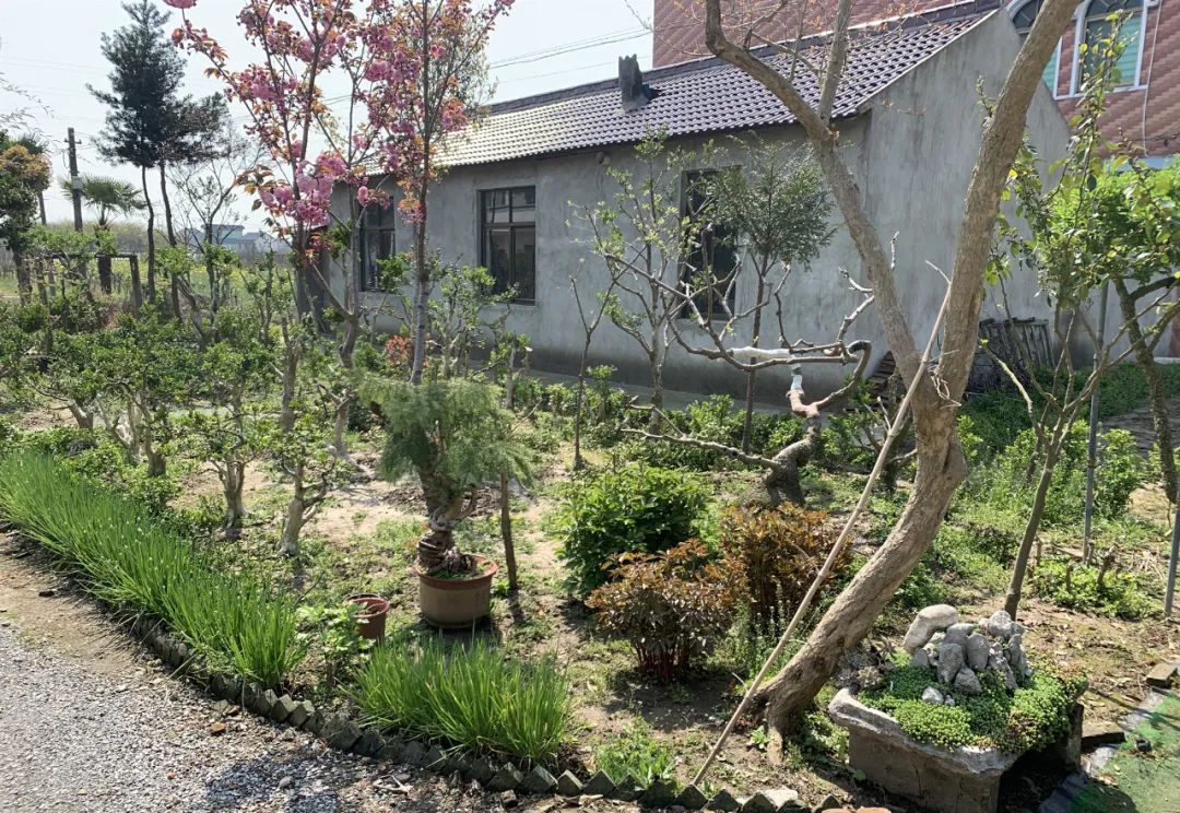 点赞南通市海门区四甲镇妇联三个一助力美丽乡村建设