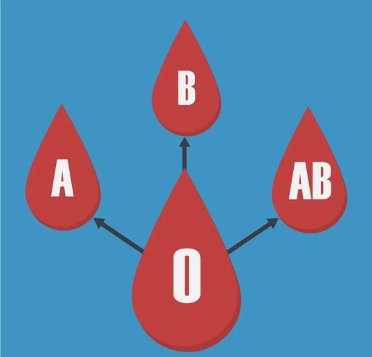 ab血性的性格_ab型血人的性格_ab血性格特点