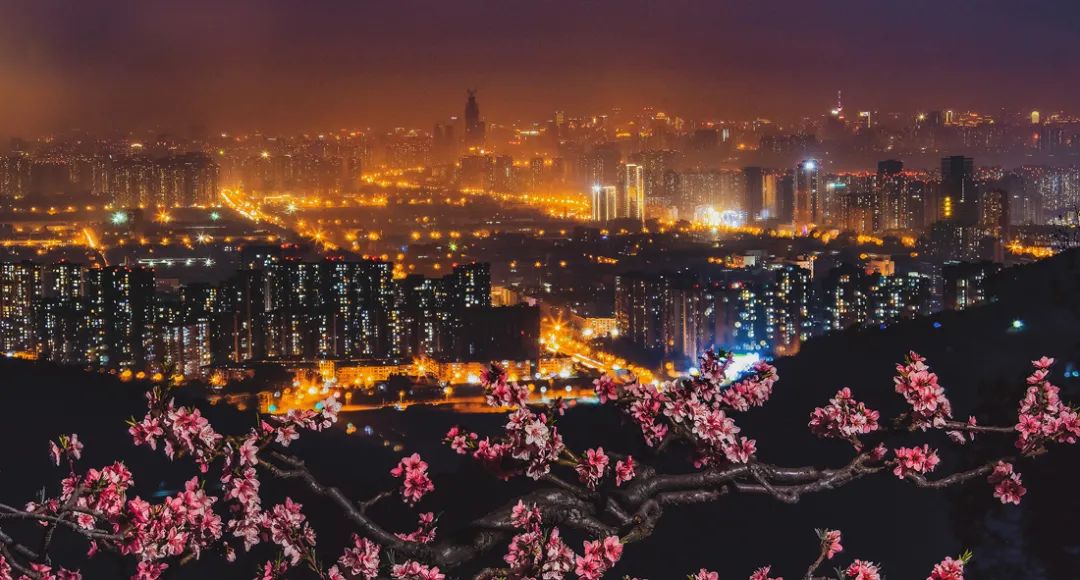 夜色中的龙泉驿美翻了