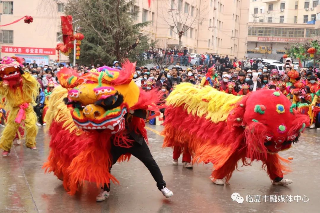 舞獅舞牛齊上陣扭起秧歌鬧新春