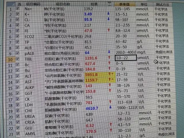 隨時可能陷入肝昏迷若不立即治療小林被診斷為 