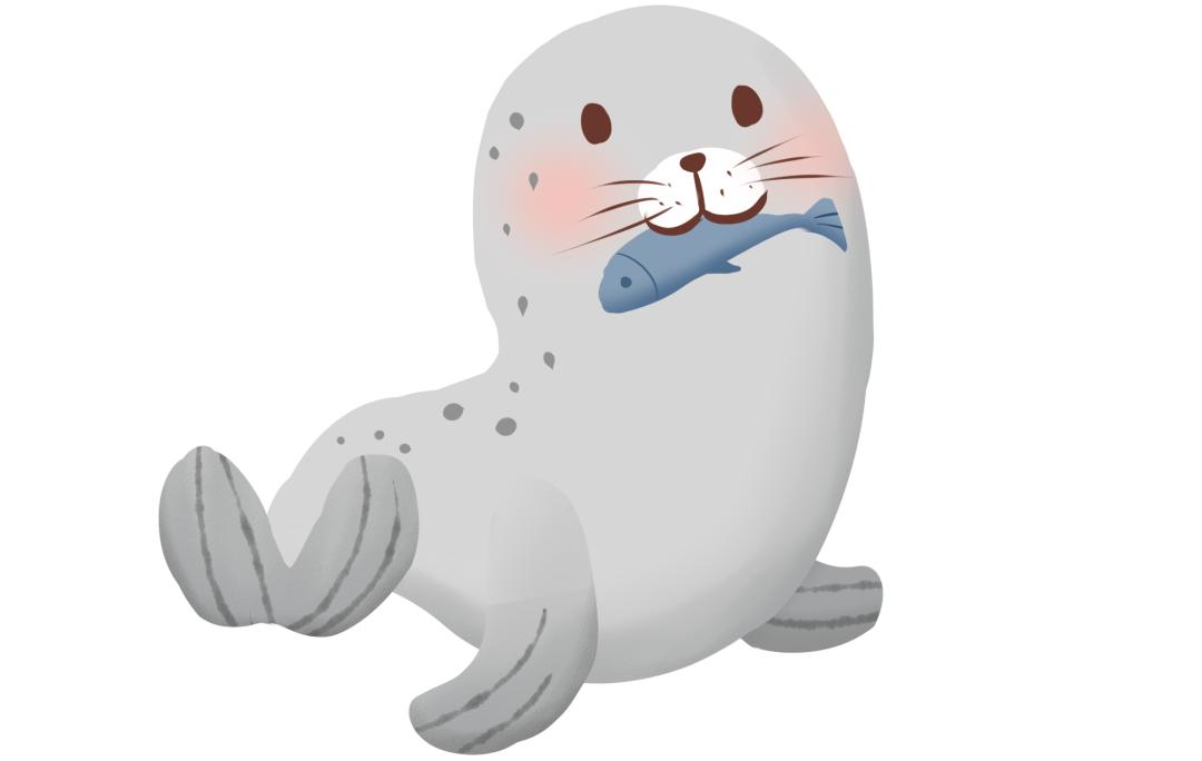 上海海昌海洋公园迎来首只牛年新生宝宝快来围观