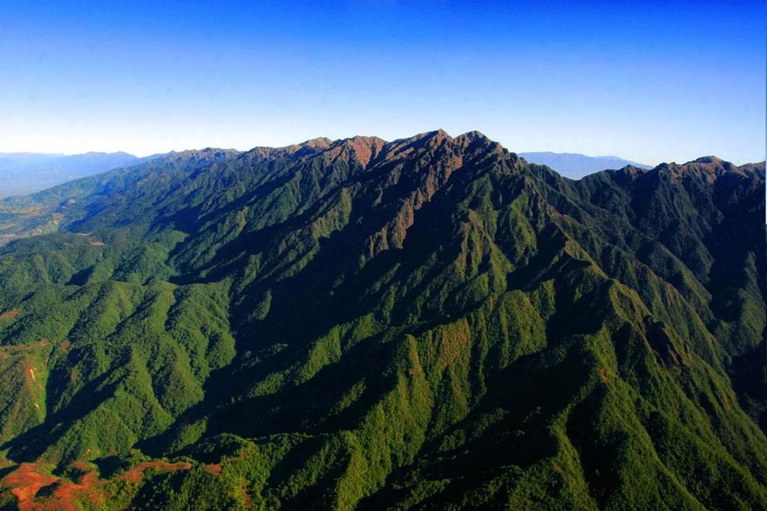 快来腾冲这里藏着中国绝美森林秘境高黎贡山