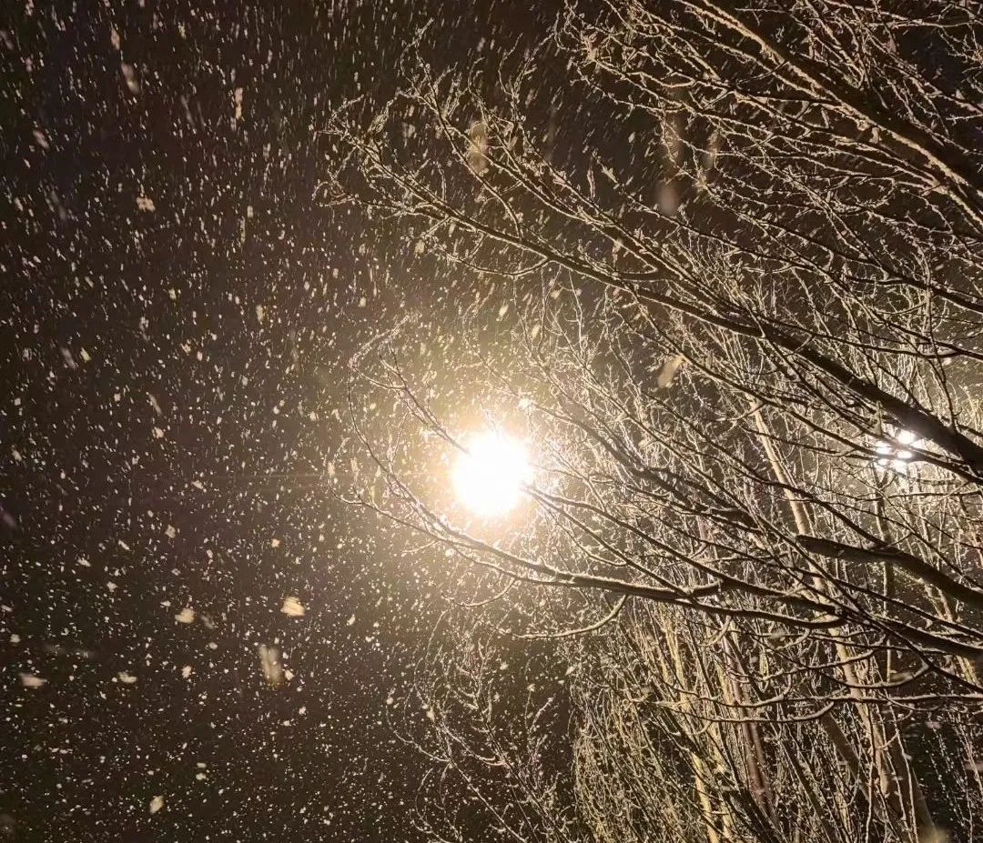 飘雪的夜晚真实图片图片