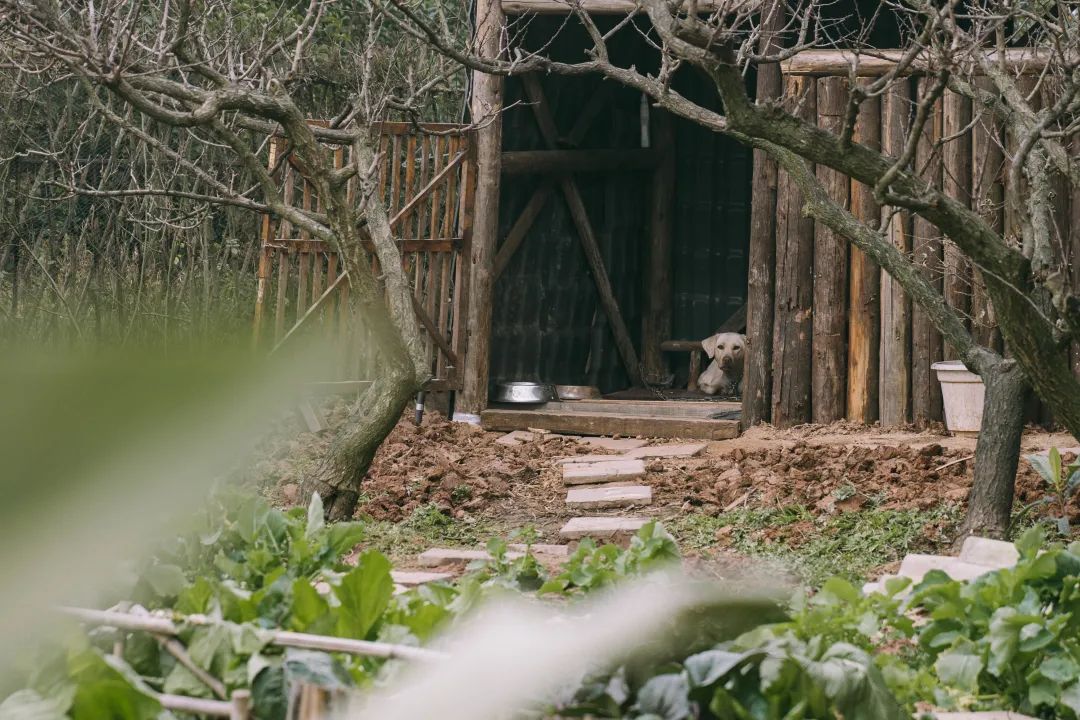 曝光这个山中小院