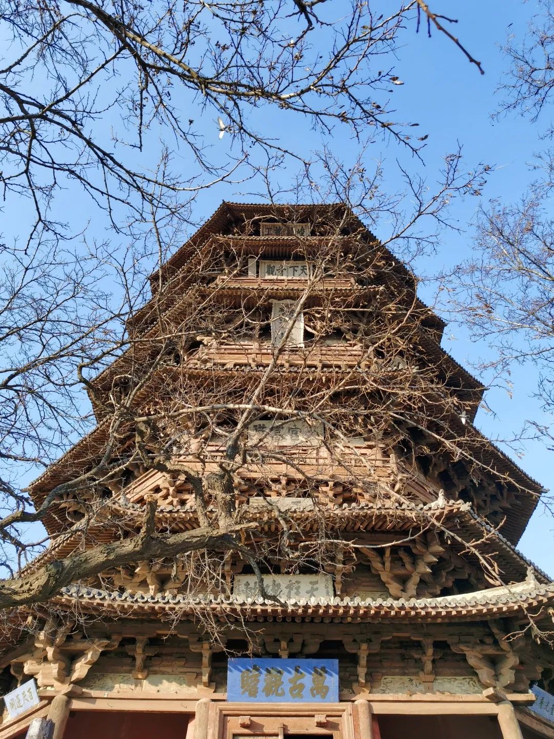 龍美術館免票日,央美髮布本科招生考題,山西