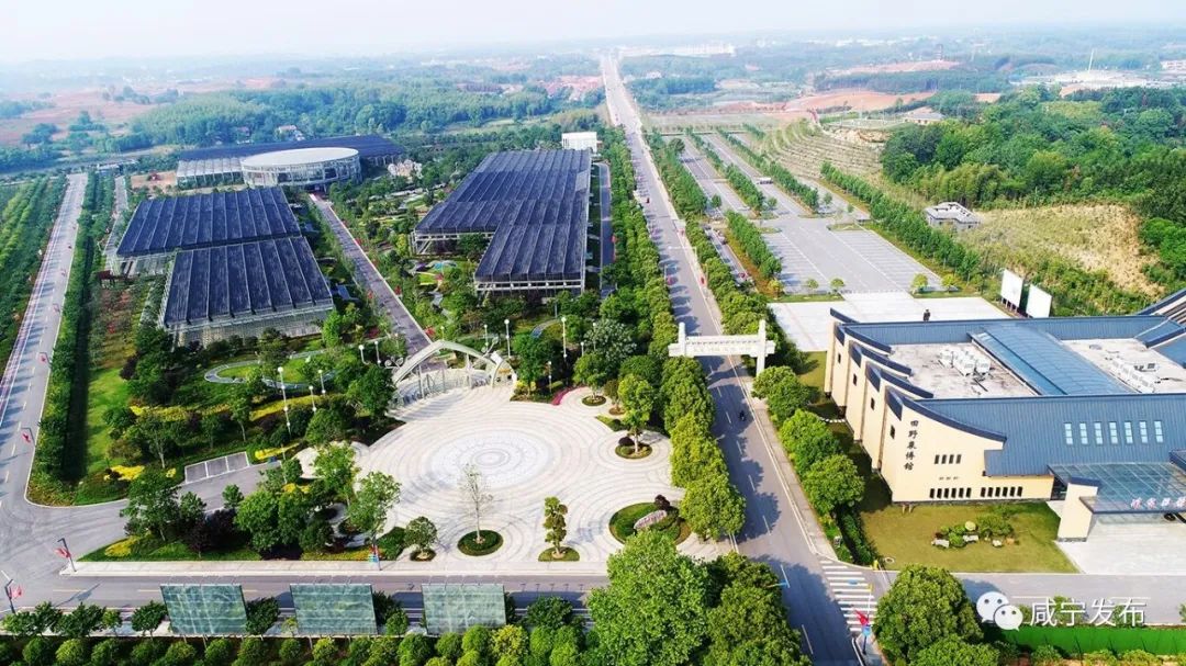 咸宁之美⑩丨嘉鱼县官桥八组满眼绿色满眼春