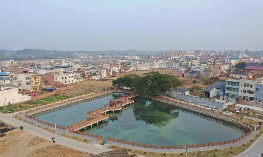 南雄邓坊村6767村民的日子牛了起来