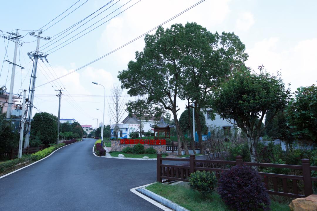 單位名單(長沙縣)春華鎮春華山村(長沙縣農業農村局供圖)長沙市望城區