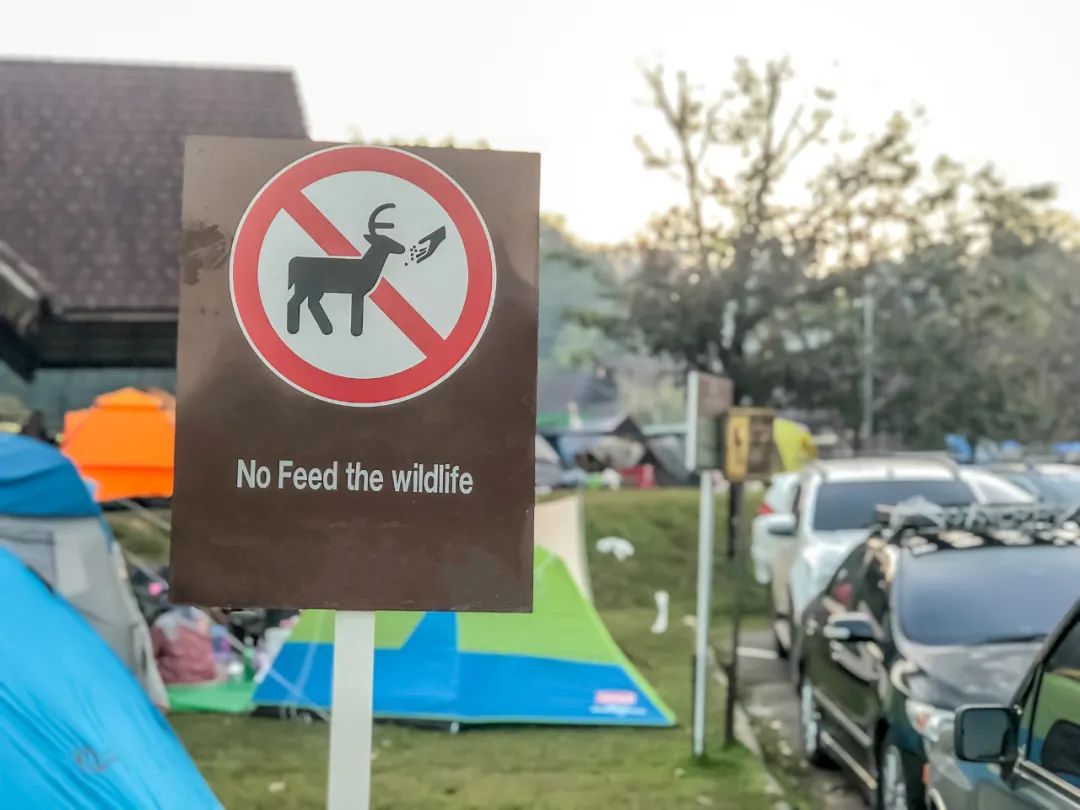 在國外,投餵動物可能觸犯法律 / 圖蟲但幸好的是,國內動物園已經