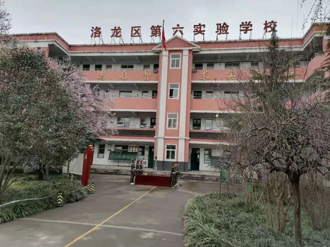 洛龙区实验小学图片