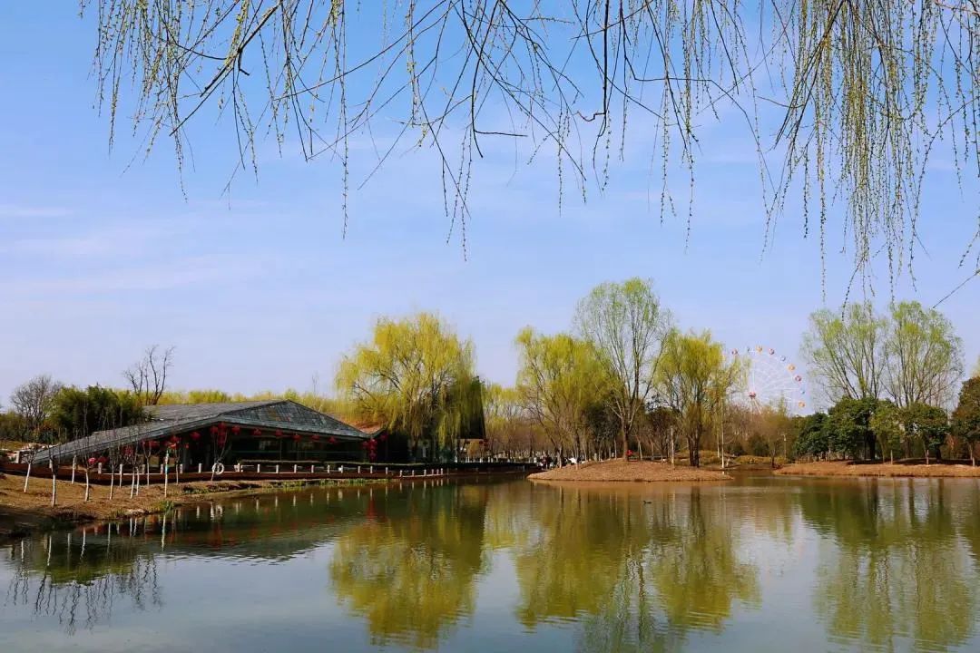 莫负好时光西安的春天适合